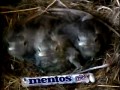 Mentos