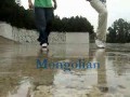 Mongolian C-walk