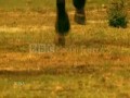 Take Me There~ Horses