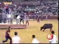 Niebezpieczny sport na arenie