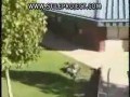 Ośmiu idiotów roku minionego