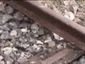 Niebezpieczna zabawa dzieciaków