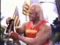 Hulk Hogan