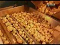 Produkcja Chipsów