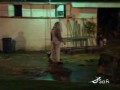Scare Tactics - Zombie