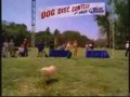 Bud Light - Wytresowany piesek
