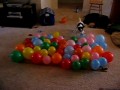 74 balony w 54 sekund