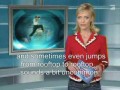 Le Parkour w Focus TV