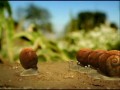 Krótkometrażowy film animowany o owadach