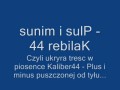 Kaliber 44 - Plus i minus - ukryty przekaz