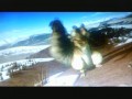 Scrat - Gone Nutty