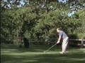 Heineken Golf
