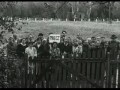 Myslovitz - Polowanie na wielbłąda