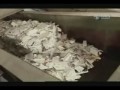 Produkcja papieru toaletowego