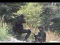 ASG w Polsce