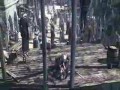Animacja XXI wieku