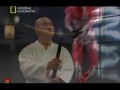 Anatomia Sztuk Walki (polski lektor)