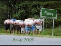 Śmieszne foty