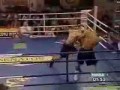 Adamek vs Oneil promo
