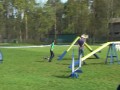 Sznaucer - sobota