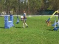Border Iwona - sobota Kozienice