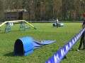 koka - sobota