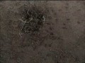 Masz 2 wyjścia (Reklama Discovery)