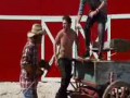 Jackass
