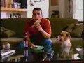 Bud Light - Niedobry piesek