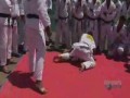 Fight Quest - BRAZILIAN JIU-JITSU