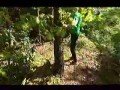 Brainiac - Gra w chowanego