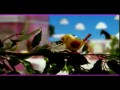 Aqua - Barbie Girl