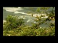 Niesamowite domy - Tree House
