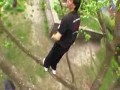 PST - Parkour Wrocław