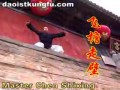 Master kung-fu