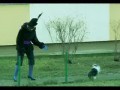 Strzał roku