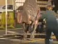 Prawdziwy Dinozaur!