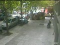 Mistrzyni parkowania