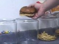 Ile wytrzymują produkty z MCdonalda