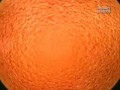 Discovery - Burze Kosmiczne 3