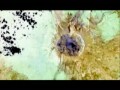 Discovery - Wulkany 2 z 3
