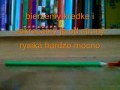 Jak zrobić tanią kuszę?