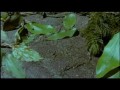 Maszyna czasu - Czas Ziemi 3/5