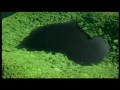 Maszyna czasu - Czas życia 1 z 5