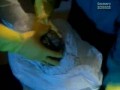 Discovery - Słoneczne Imperium - Zderzenie! 4 z 5