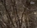 Discovery - UFO - Wielkie kule ognia 4 z 5