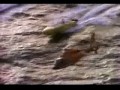 Baywatch Intro