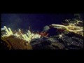 Discovery - Jowisz - Planeta Olbrzym część 4 z 5
