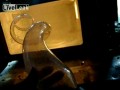 Elektryczna żarówka w mikrofalówce