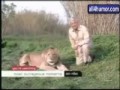 Zabawne Zwierzęta